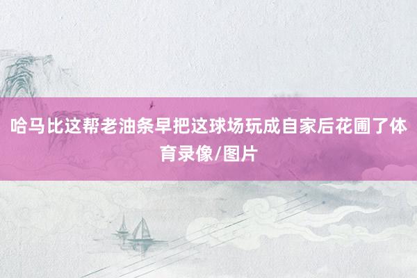 哈马比这帮老油条早把这球场玩成自家后花圃了体育录像/图片