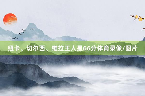 纽卡、切尔西、维拉王人是66分体育录像/图片