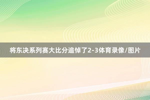 将东决系列赛大比分追悼了2-3体育录像/图片