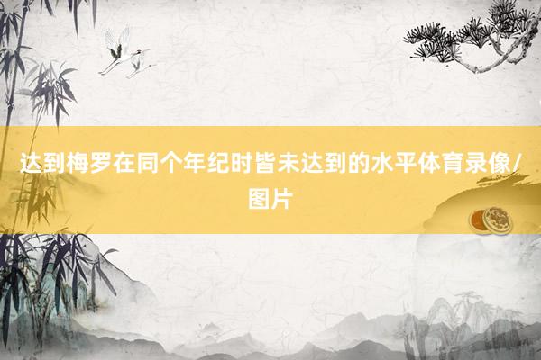 达到梅罗在同个年纪时皆未达到的水平体育录像/图片