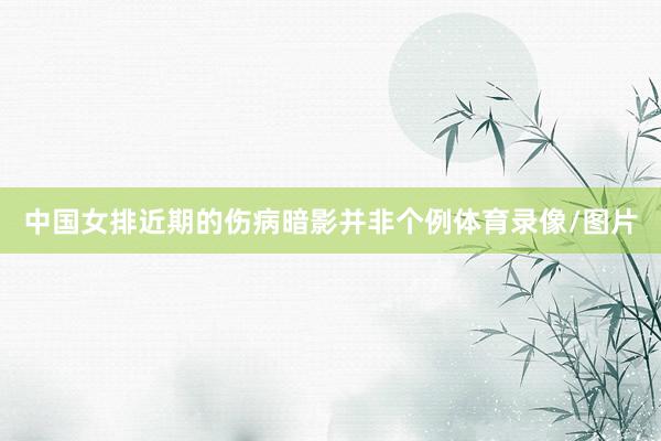 中国女排近期的伤病暗影并非个例体育录像/图片