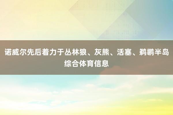 诺威尔先后着力于丛林狼、灰熊、活塞、鹈鹕半岛综合体育信息