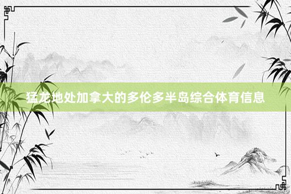 猛龙地处加拿大的多伦多半岛综合体育信息
