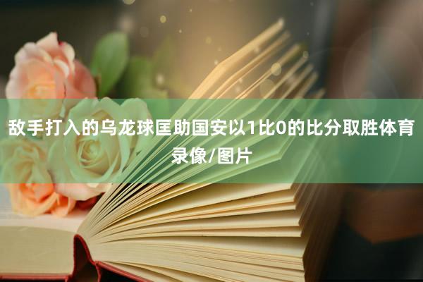 敌手打入的乌龙球匡助国安以1比0的比分取胜体育录像/图片