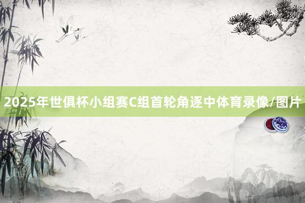2025年世俱杯小组赛C组首轮角逐中体育录像/图片