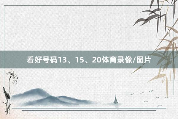 看好号码13、15、20体育录像/图片