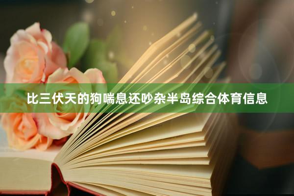 比三伏天的狗喘息还吵杂半岛综合体育信息