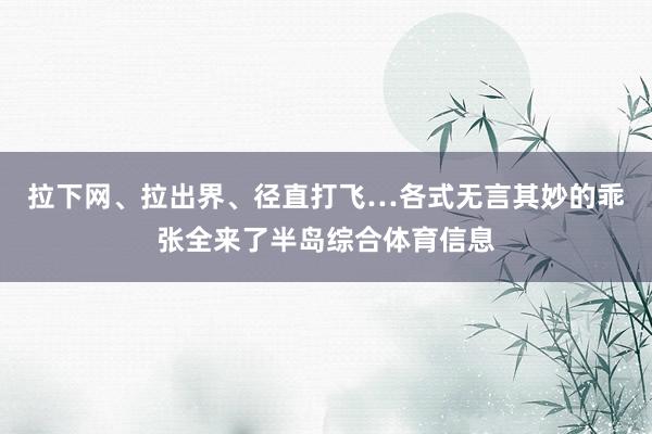 拉下网、拉出界、径直打飞…各式无言其妙的乖张全来了半岛综合体育信息