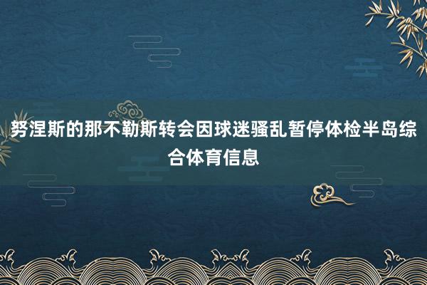 努涅斯的那不勒斯转会因球迷骚乱暂停体检半岛综合体育信息