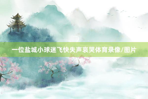 一位盐城小球迷飞快失声哀哭体育录像/图片