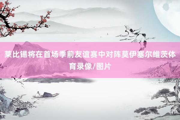 莱比锡将在首场季前友谊赛中对阵莫伊塞尔维茨体育录像/图片