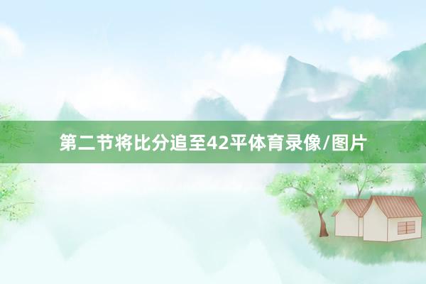 第二节将比分追至42平体育录像/图片