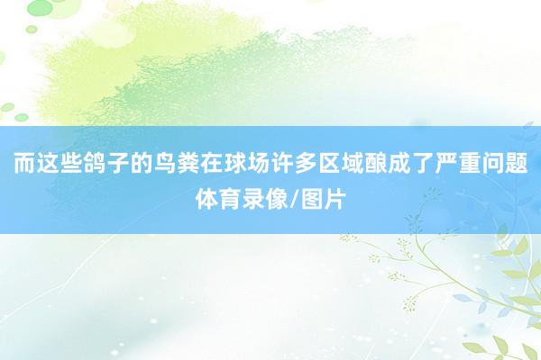 而这些鸽子的鸟粪在球场许多区域酿成了严重问题体育录像/图片