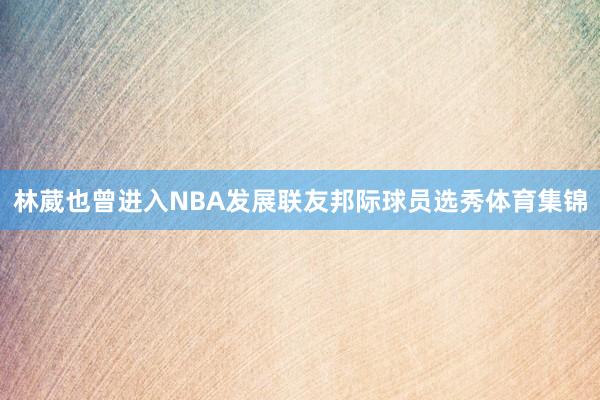 林葳也曾进入NBA发展联友邦际球员选秀体育集锦