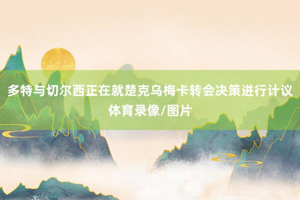 多特与切尔西正在就楚克乌梅卡转会决策进行计议体育录像/图片