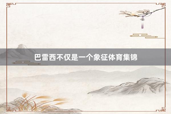 巴雷西不仅是一个象征体育集锦