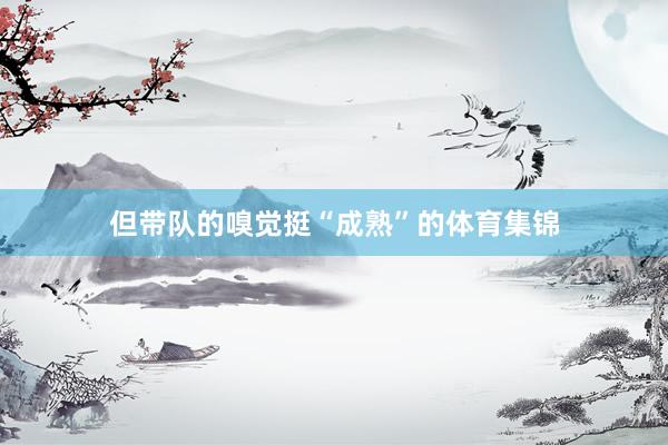 但带队的嗅觉挺“成熟”的体育集锦