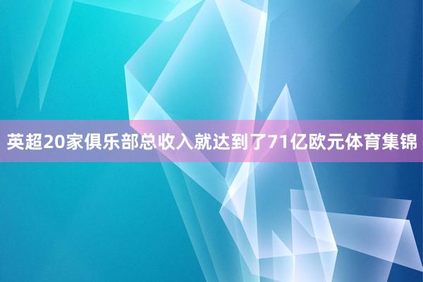 英超20家俱乐部总收入就达到了71亿欧元体育集锦