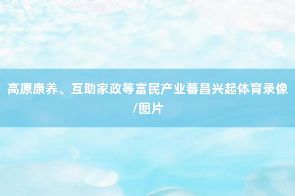 高原康养、互助家政等富民产业蕃昌兴起体育录像/图片