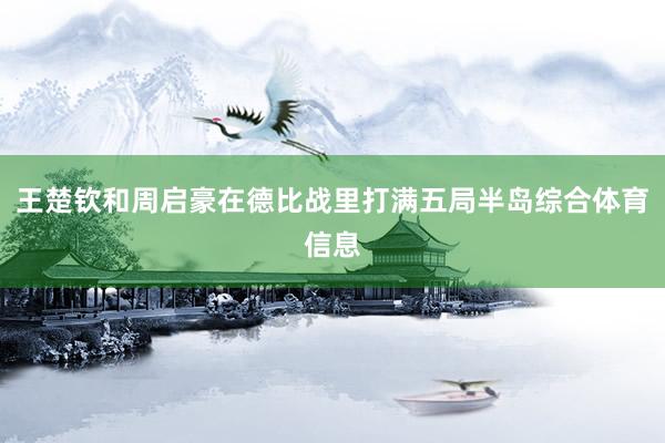 王楚钦和周启豪在德比战里打满五局半岛综合体育信息