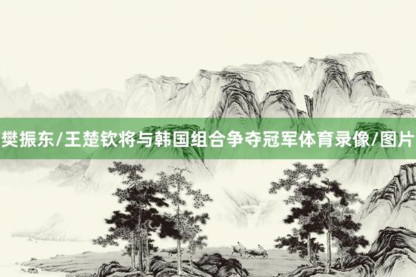 樊振东/王楚钦将与韩国组合争夺冠军体育录像/图片
