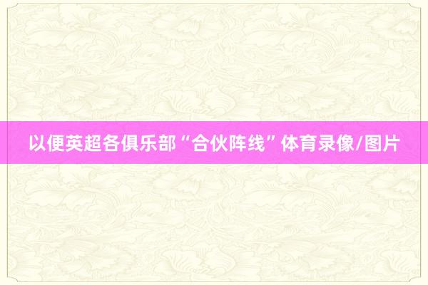 以便英超各俱乐部“合伙阵线”体育录像/图片