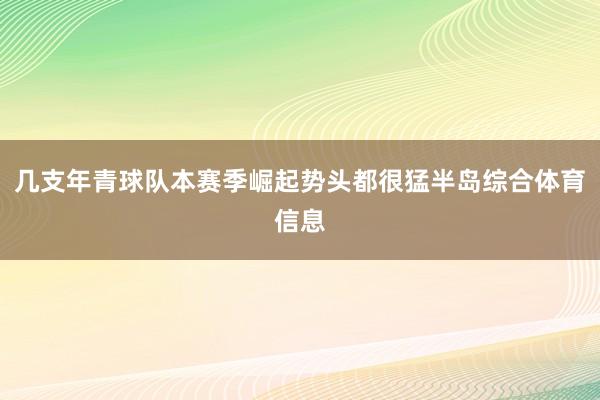 几支年青球队本赛季崛起势头都很猛半岛综合体育信息