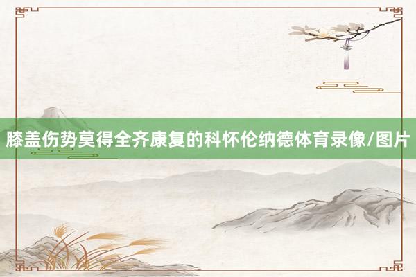 膝盖伤势莫得全齐康复的科怀伦纳德体育录像/图片