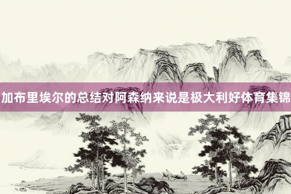 加布里埃尔的总结对阿森纳来说是极大利好体育集锦