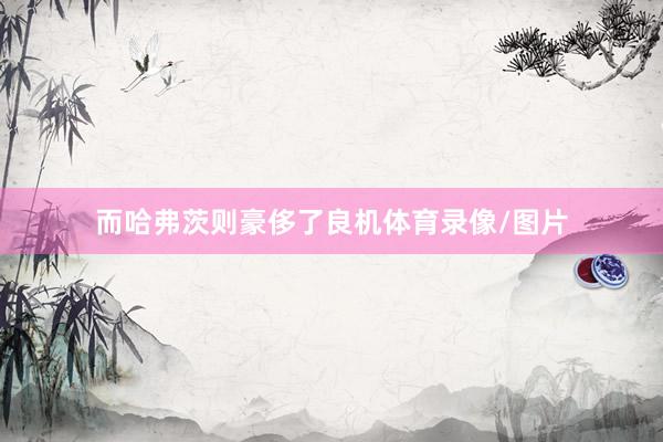 而哈弗茨则豪侈了良机体育录像/图片