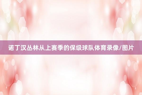 诺丁汉丛林从上赛季的保级球队体育录像/图片
