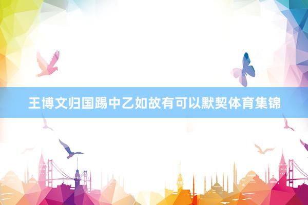 王博文归国踢中乙如故有可以默契体育集锦