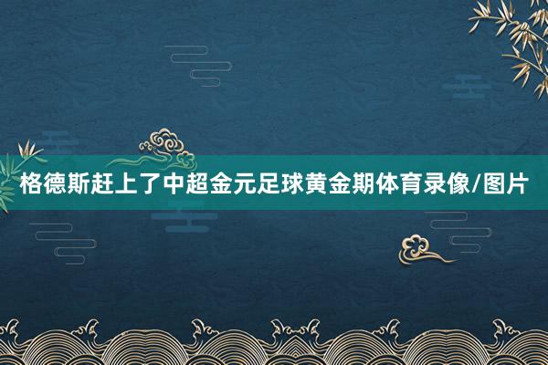 格德斯赶上了中超金元足球黄金期体育录像/图片