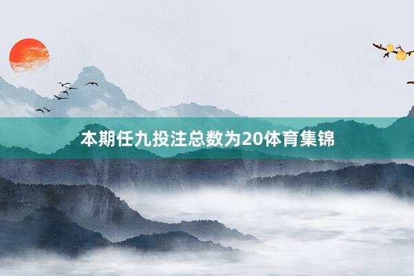 本期任九投注总数为20体育集锦