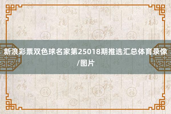 新浪彩票双色球名家第25018期推选汇总体育录像/图片