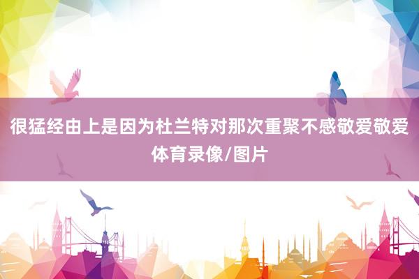 很猛经由上是因为杜兰特对那次重聚不感敬爱敬爱体育录像/图片
