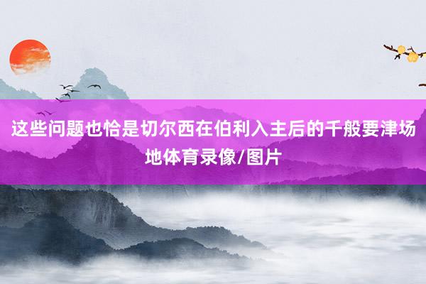 这些问题也恰是切尔西在伯利入主后的千般要津场地体育录像/图片